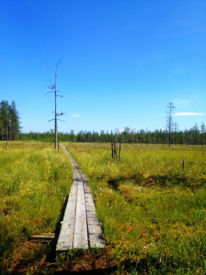 Från niomilalöpningen mellan Sälen och Mora, sommaren 2013.